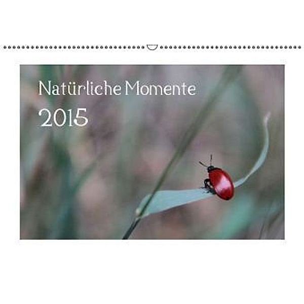 Natürliche Momente (Wandkalender 2015 DIN A2 quer), Stefanie Degner