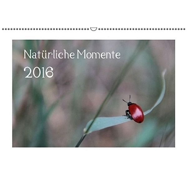 Natürliche Momente (Wandkalender 2016 DIN A2 quer), Stefanie Degner