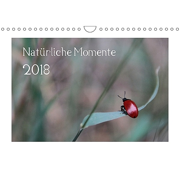 Natürliche Momente (Wandkalender 2018 DIN A4 quer), Stefanie Degner