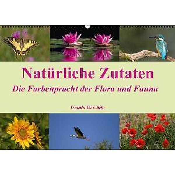 Natürliche Zutaten - Die Farbenpracht der Flora und Fauna (Wandkalender 2016 DIN A2 quer), Ursula Di Chito