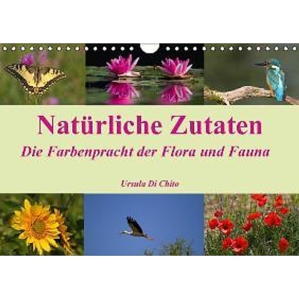 Natürliche Zutaten - Die Farbenpracht der Flora und Fauna (Wandkalender 2016 DIN A4 quer), Ursula Di Chito