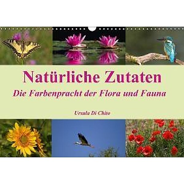 Natürliche Zutaten - Die Farbenpracht der Flora und Fauna (Wandkalender 2016 DIN A3 quer), Ursula Di Chito