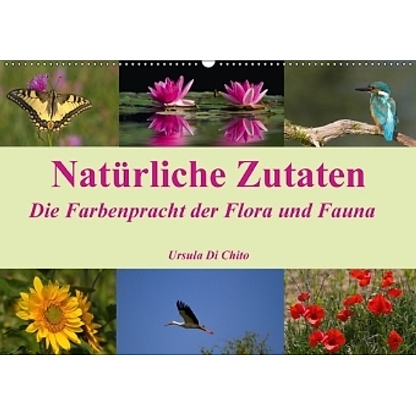 Natürliche Zutaten - Die Farbenpracht der Flora und Fauna (Wandkalender 2017 DIN A2 quer), Ursula Di Chito