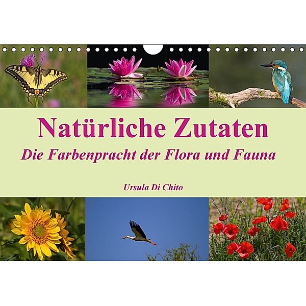 Natürliche Zutaten - Die Farbenpracht der Flora und Fauna (Wandkalender 2018 DIN A4 quer), Ursula Di Chito