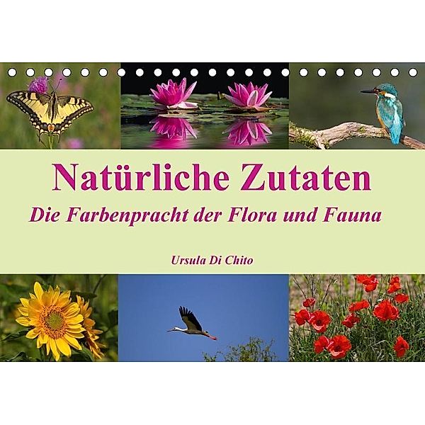 Natürliche Zutaten - Die Farbenpracht der Flora und Fauna (Tischkalender 2017 DIN A5 quer), Ursula Di Chito