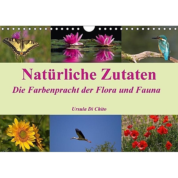 Natürliche Zutaten - Die Farbenpracht der Flora und Fauna (Wandkalender 2017 DIN A4 quer), Ursula Di Chito