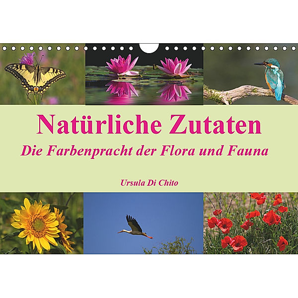 Natürliche Zutaten - Die Farbenpracht der Flora und Fauna (Wandkalender 2019 DIN A4 quer), Ursula Di Chito