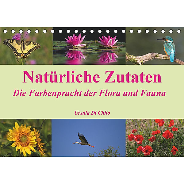 Natürliche Zutaten - Die Farbenpracht der Flora und Fauna (Tischkalender 2019 DIN A5 quer), Ursula Di Chito