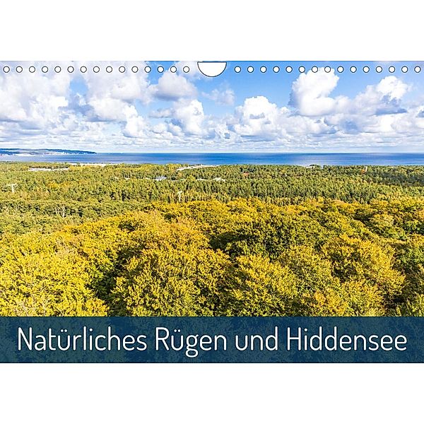 Natürliches Rügen und Hiddensee (Wandkalender 2023 DIN A4 quer), Daniel Burdach