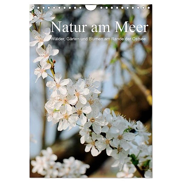 Natur am Meer - Wälder, Gärten und Blumen am Rande der Ostsee (Wandkalender 2024 DIN A4 hoch), CALVENDO Monatskalender, Heidi Schneekloth