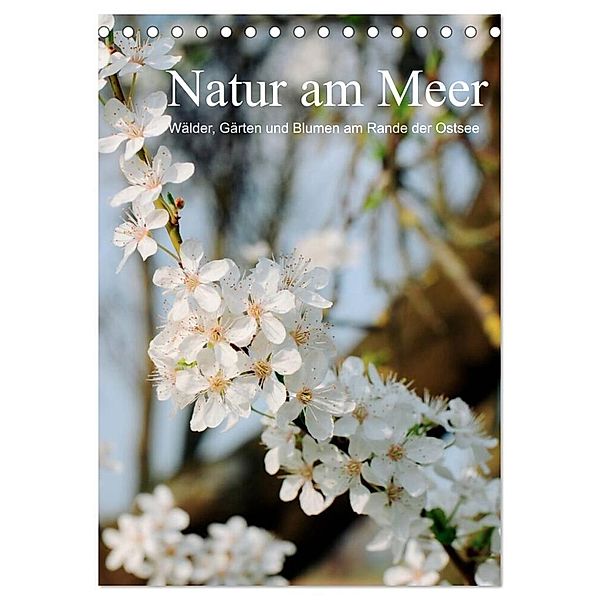 Natur am Meer - Wälder, Gärten und Blumen am Rande der Ostsee (Tischkalender 2024 DIN A5 hoch), CALVENDO Monatskalender, Heidi Schneekloth