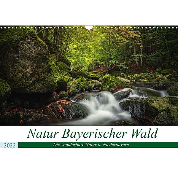 Natur Bayerischer Wald (Wandkalender 2022 DIN A3 quer), Fotografie Thilo Wagner