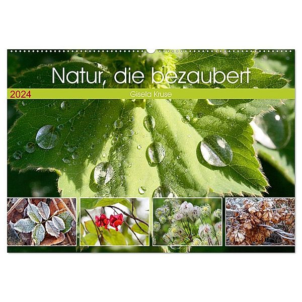 Natur, die bezaubert (Wandkalender 2024 DIN A2 quer), CALVENDO Monatskalender, Gisela Kruse