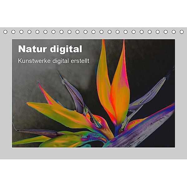 Natur Digital (Tischkalender 2020 DIN A5 quer), Ingrid Franz