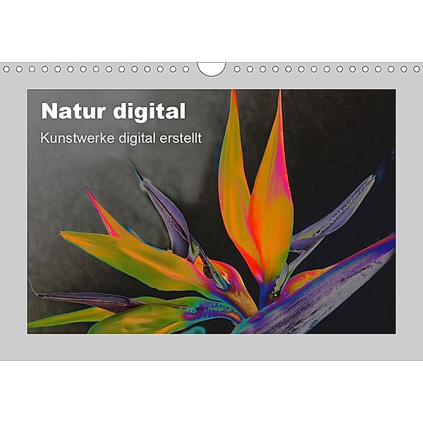 Natur Digital (Wandkalender 2021 DIN A4 quer), Ingrid Franz
