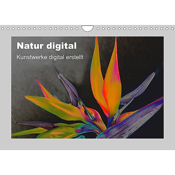 Natur Digital (Wandkalender 2023 DIN A4 quer), Ingrid Franz