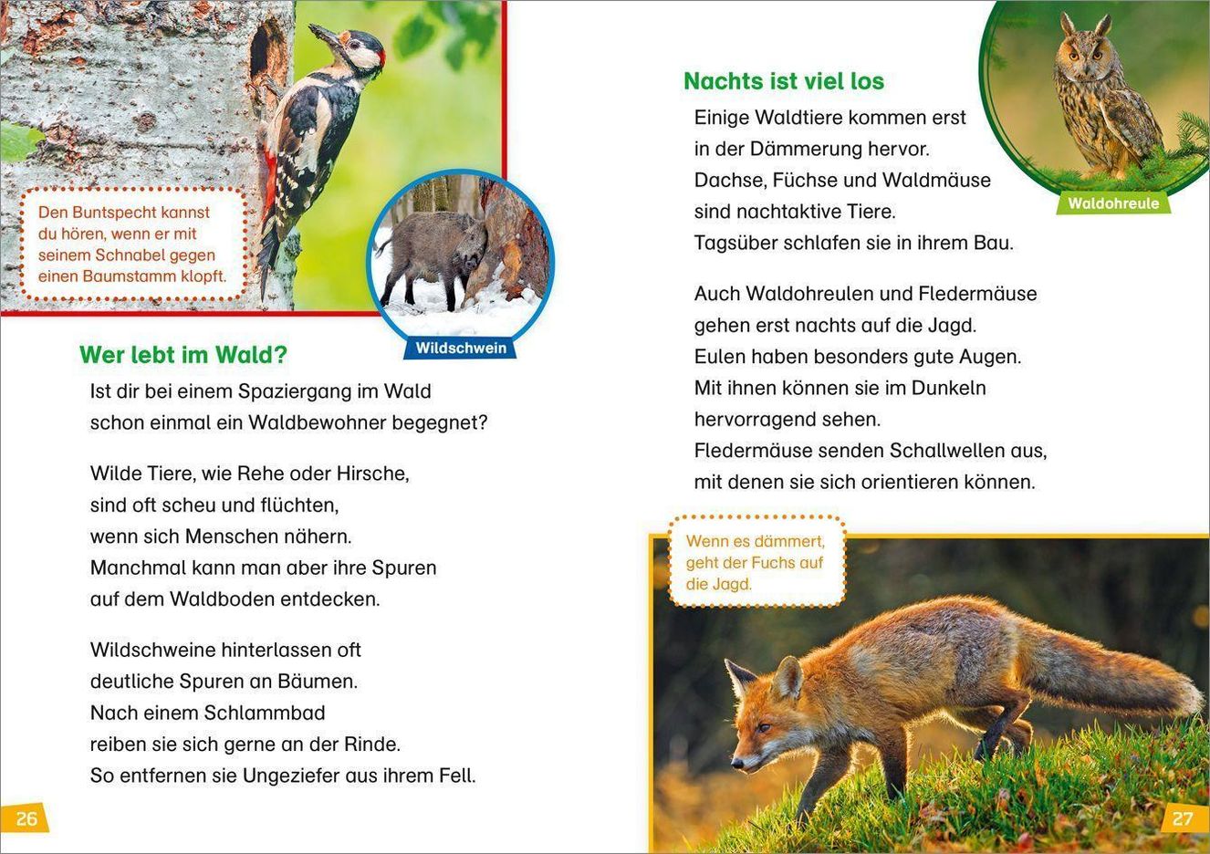 Natur entdecken und schützen WAS IST WAS Erstes Lesen Bd.4 | Weltbild.ch