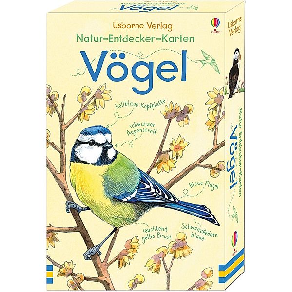 Natur-Entdecker-Karten: Vögel, Emily Bone