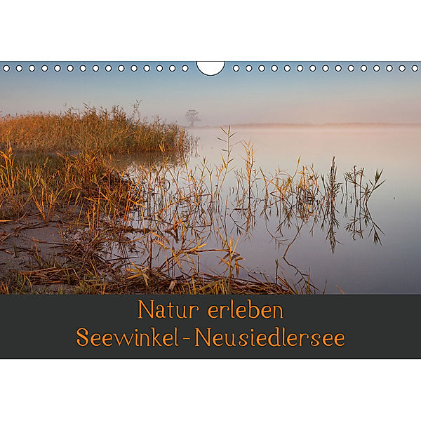 Natur erleben Seewinkel-Neusiedlersee (Wandkalender 2019 DIN A4 quer), Johann Schörkhuber