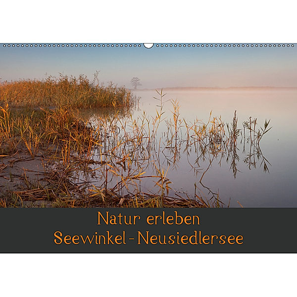 Natur erleben Seewinkel-Neusiedlersee (Wandkalender 2019 DIN A2 quer), Johann Schörkhuber