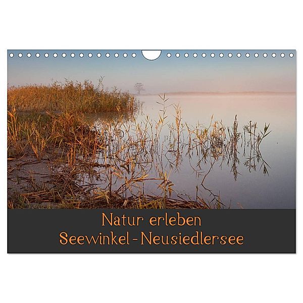 Natur erleben Seewinkel-Neusiedlersee (Wandkalender 2024 DIN A4 quer), CALVENDO Monatskalender, Johann Schörkhuber