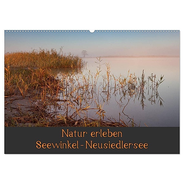 Natur erleben Seewinkel-Neusiedlersee (Wandkalender 2024 DIN A2 quer), CALVENDO Monatskalender, Johann Schörkhuber