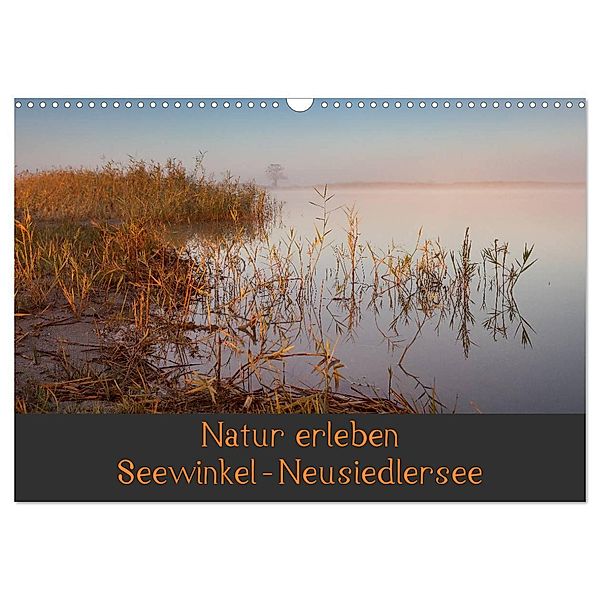 Natur erleben Seewinkel-Neusiedlersee (Wandkalender 2024 DIN A3 quer), CALVENDO Monatskalender, Johann Schörkhuber