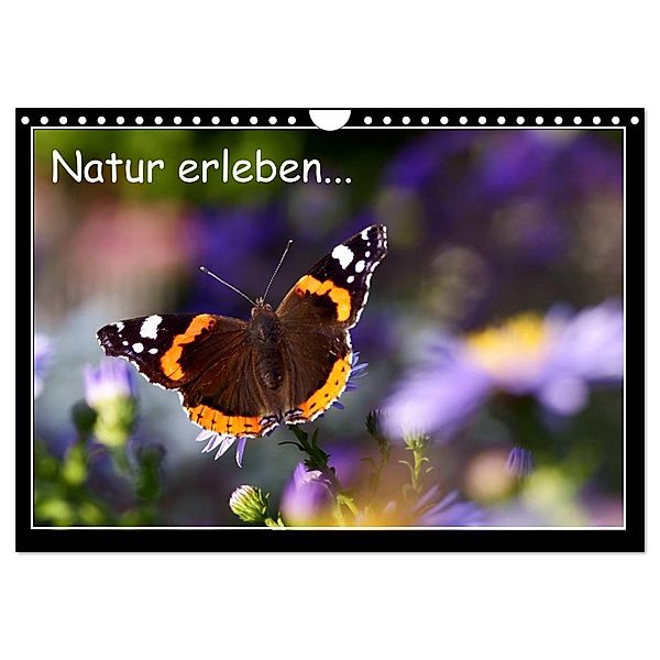 Natur erleben... (Wandkalender 2024 DIN A4 quer), CALVENDO Monatskalender, Robert Angermayr