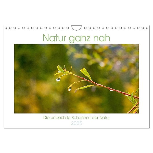 Natur hautnah Kalender (Wandkalender 2025 DIN A4 quer), CALVENDO Monatskalender, Calvendo, Alexander Säger