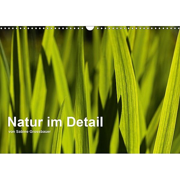 Natur im Detail (Wandkalender 2020 DIN A3 quer), Sabine Grossbauer