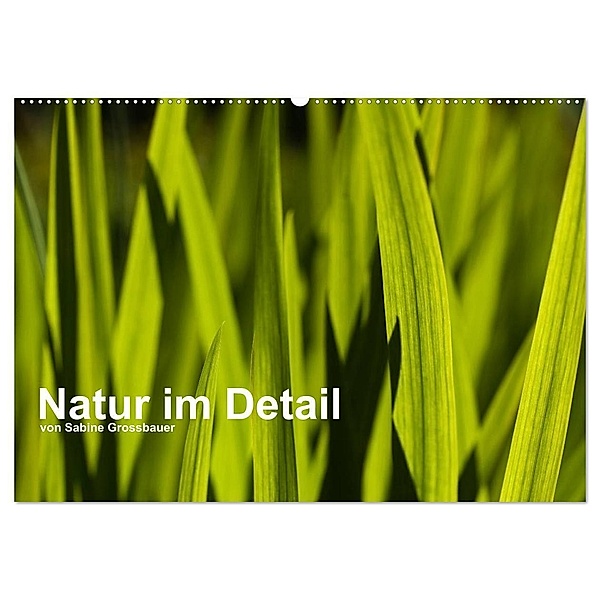 Natur im Detail (Wandkalender 2024 DIN A2 quer), CALVENDO Monatskalender, Sabine Grossbauer