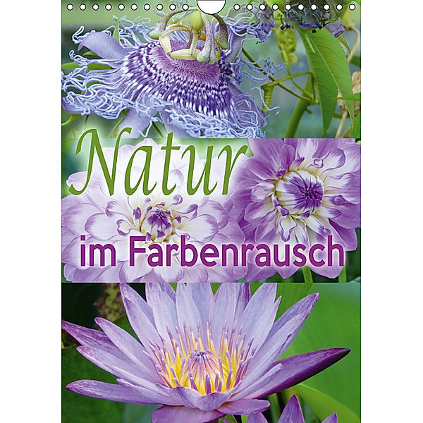 Natur im Farbenrausch (Wandkalender 2019 DIN A4 hoch), Christine B-B Müller