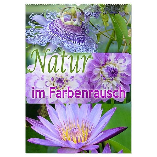 Natur im Farbenrausch (Wandkalender 2024 DIN A2 hoch), CALVENDO Monatskalender, Christine B-B Müller