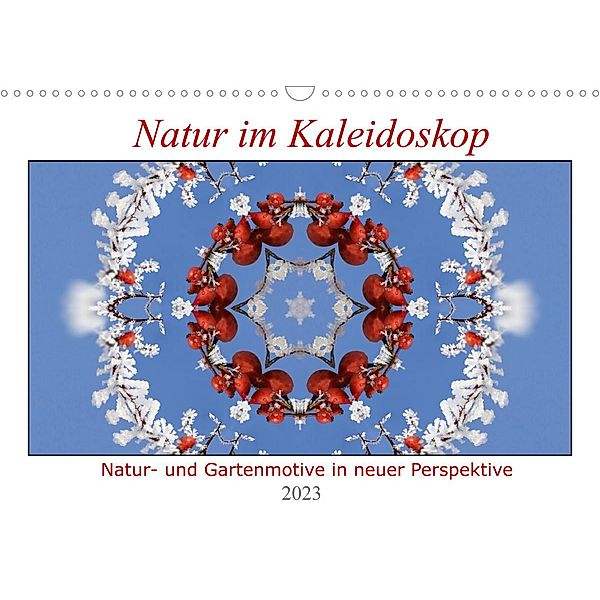 Natur im Kaleidoskop (Wandkalender 2023 DIN A3 quer), Hanne Wirtz