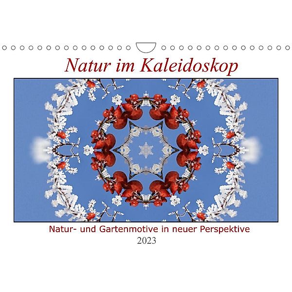 Natur im Kaleidoskop (Wandkalender 2023 DIN A4 quer), Hanne Wirtz