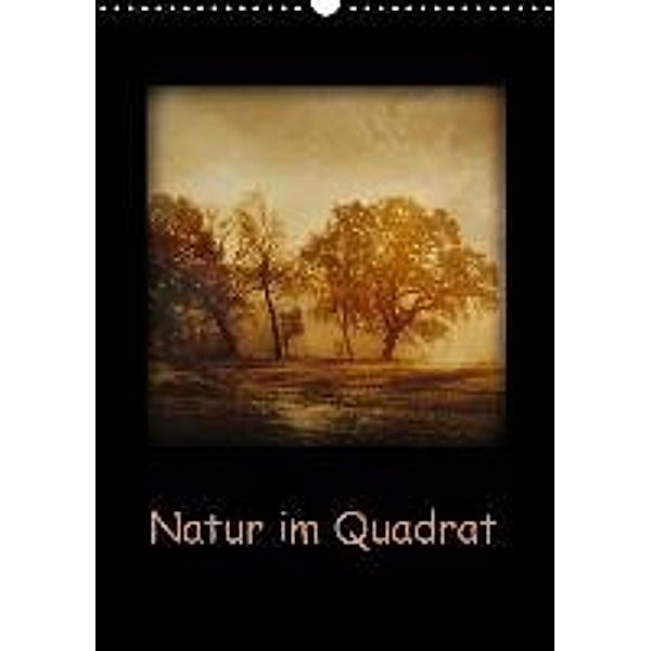 Natur im Quadrat (Wandkalender 2016 DIN A3 hoch), Anke Brehm