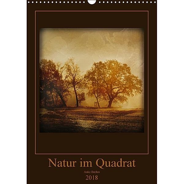 Natur im Quadrat (Wandkalender 2018 DIN A3 hoch), Anke Brehm