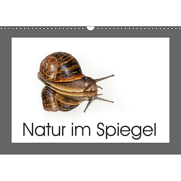 Natur im Spiegel (Wandkalender 2019 DIN A3 quer), Britta Berkenkamp