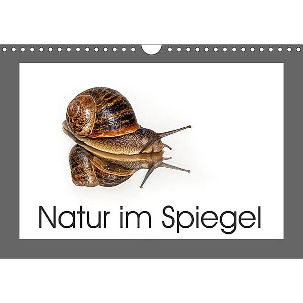 Natur im Spiegel (Wandkalender 2021 DIN A4 quer), Britta Berkenkamp