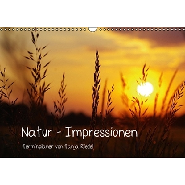 Natur - Impressionen Terminkalender von Tanja Riedel Schweizer KalendariumCH-Version (Wandkalender 2015 DIN A3 quer), Tanja Riedel