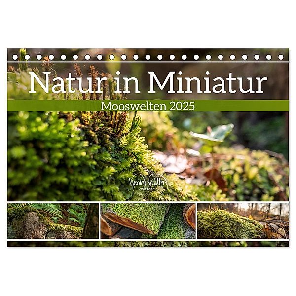 Natur in Miniatur - Mooswelten (Tischkalender 2025 DIN A5 quer), CALVENDO Monatskalender, Calvendo, Kevin Walther