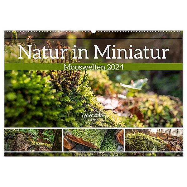 Natur in Miniatur - Mooswelten (Wandkalender 2024 DIN A2 quer), CALVENDO Monatskalender, Kevin Walther