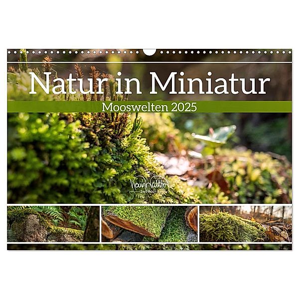 Natur in Miniatur - Mooswelten (Wandkalender 2025 DIN A3 quer), CALVENDO Monatskalender, Calvendo, Kevin Walther