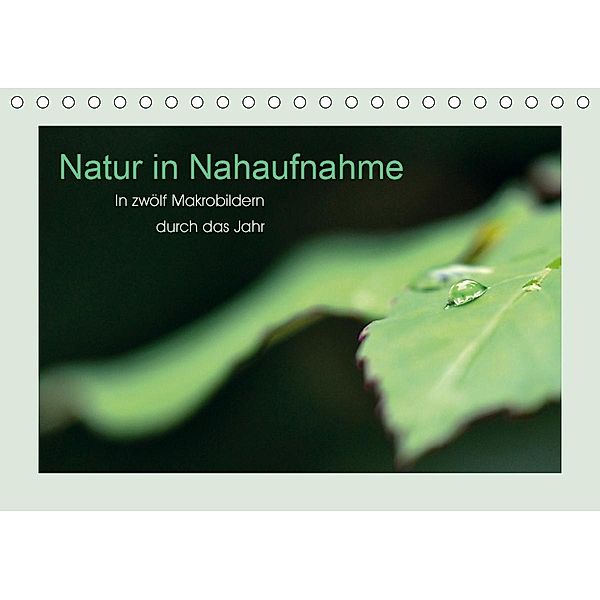 Natur in Nahaufnahme (Tischkalender 2021 DIN A5 quer), Stefanie Küppers