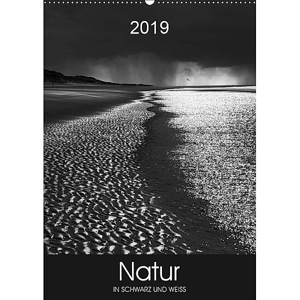 Natur in Schwarz und Weiß (Wandkalender 2019 DIN A2 hoch), Lucyna Koch