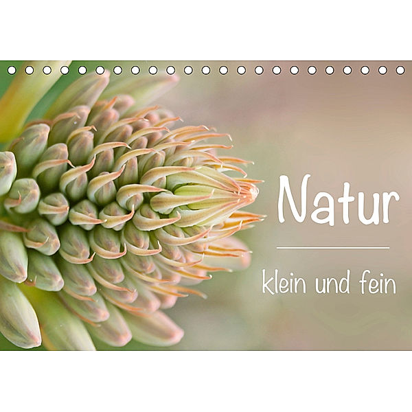 Natur klein und fein (Tischkalender 2019 DIN A5 quer), Alexander Busse