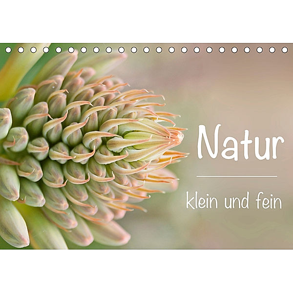Natur klein und fein (Tischkalender 2020 DIN A5 quer), Alexander Busse