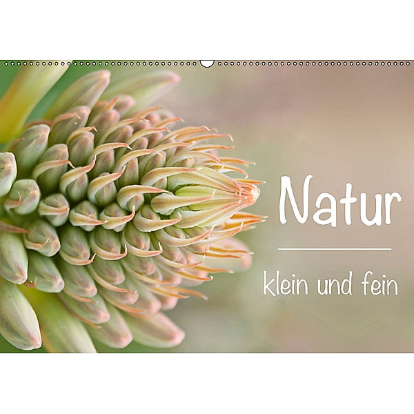 Natur klein und fein (Wandkalender 2019 DIN A2 quer), Alexander Busse