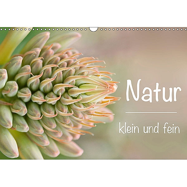 Natur klein und fein (Wandkalender 2019 DIN A3 quer), Alexander Busse