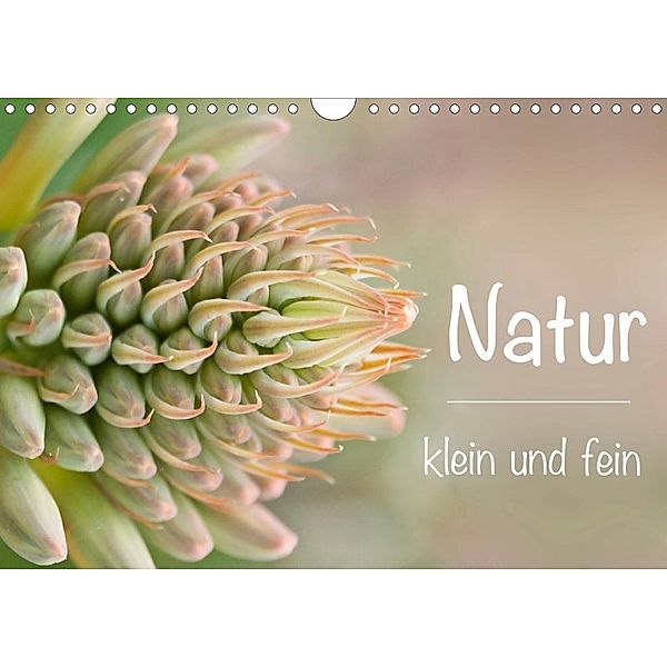 Natur klein und fein (Wandkalender 2020 DIN A4 quer), Alexander Busse